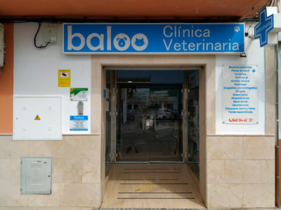 Baloo Clínica Veterinaria (Camas)