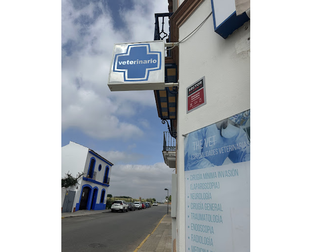 Centro Veterinario The Vet Aljarafe (Bollullos de la Mitación)