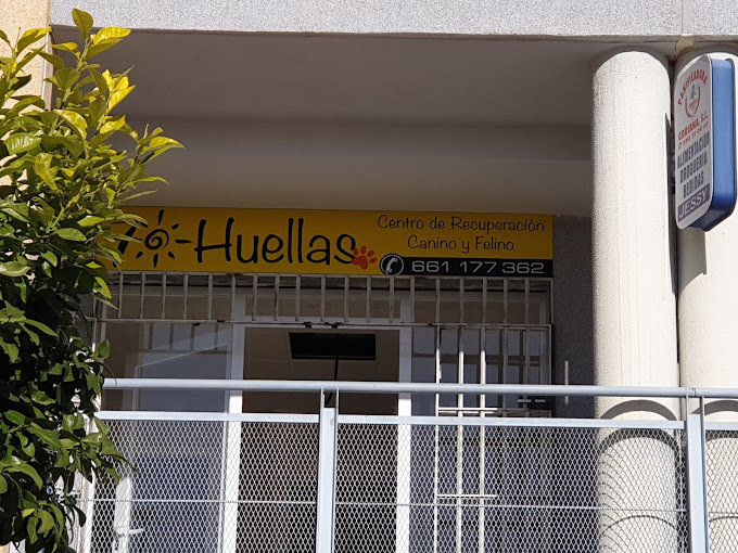 Centro Veterinario 70 Huellas (Almensilla)