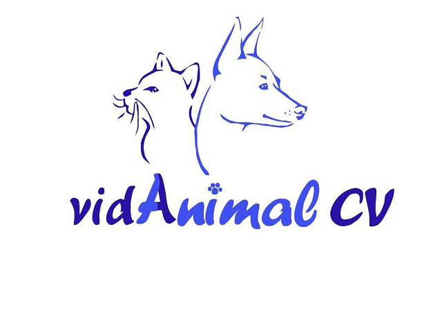 Centro Veterinario VidAnimal (Marchena)