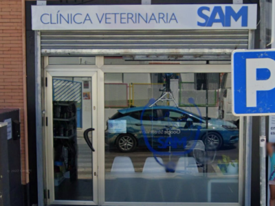 Centro Veterinario Sam (Bormujos)