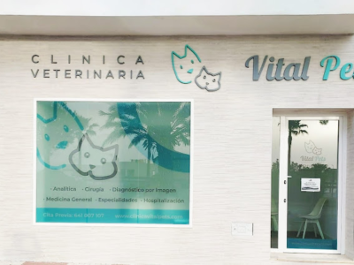Vital Pets Clínica Veterinaria (El Cuervo)