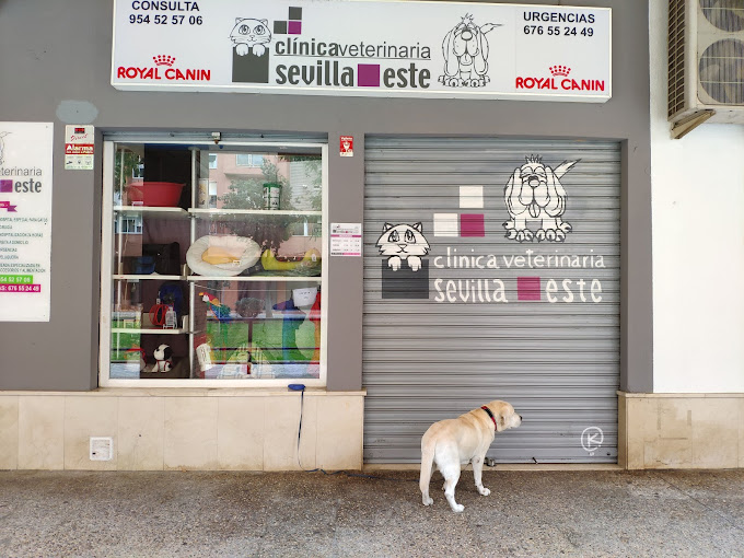 Centro Veterinario Sevilla Este (Sevilla)