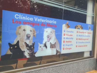 Centro Veterinario Los amigos de María (Sevilla)