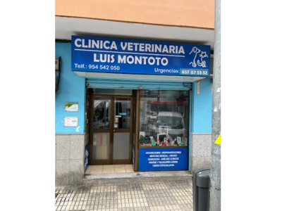 Centro Veterinario Luis Montoto (Sevilla)