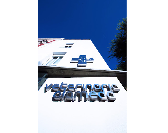 Centro Veterinario Alameda (Sevilla)