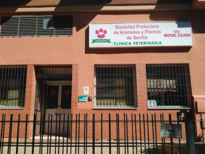 Sociedad Protectora de Animales y Plantas de Sevilla - SPAPS (Sevilla)