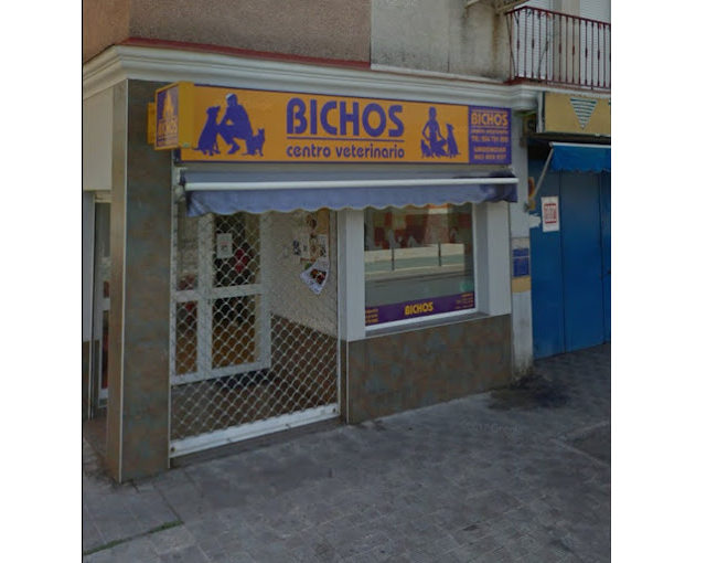 Centro Veterinario Bichos (San José de la Rinconada)