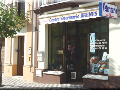 Centro Veterinario Brenes (Brenes)