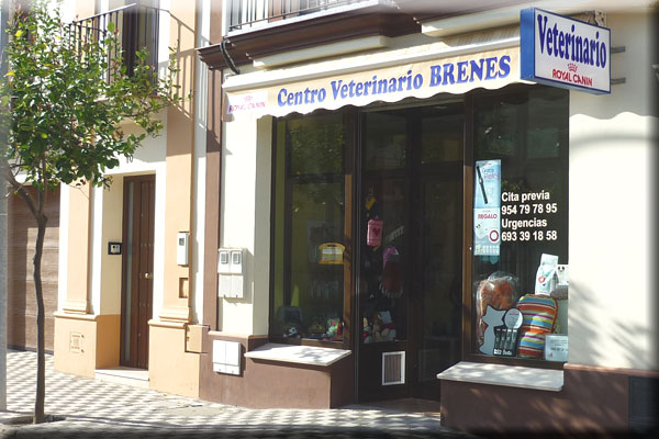 Centro Veterinario Brenes (Brenes)