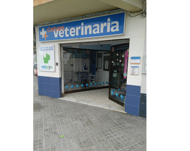 Centro Veterinario Vetalys (Gelves)