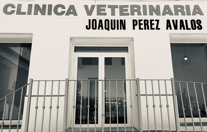 Centro veterinario Ávalos (Carmona)