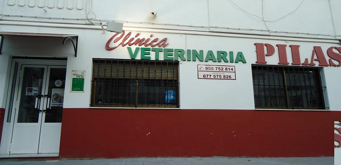 Centro Veterinario Pilas (Pilas)