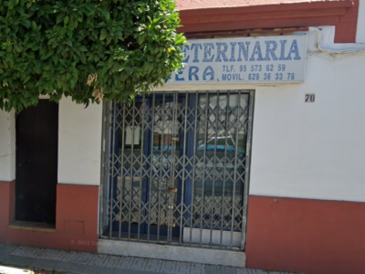 Centro Veterinario Rivera (Villaverde del Río)
