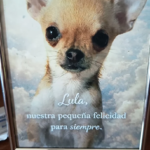 Clínica Veterinaria La Dehesa (Soria)