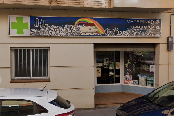 El Arca de Teruel (Teruel)