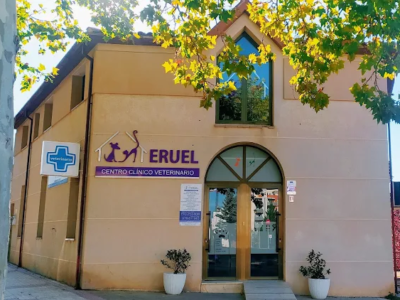 Centro Clínico Veterinario Teruel (Teruel)