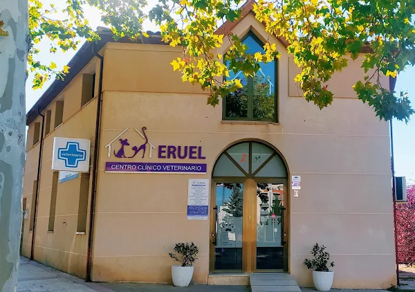 Centro Clínico Veterinario Teruel (Teruel)