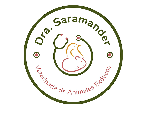 Dra. Saramander - a domicilio (Ocaña)