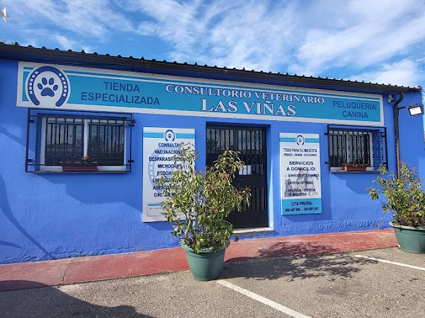 Consultorio Veterinario Las Viñas (Serranillos Playa)