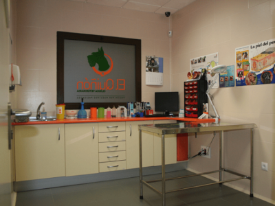 Clínica Veterinaria El Quiñón (Seseña)