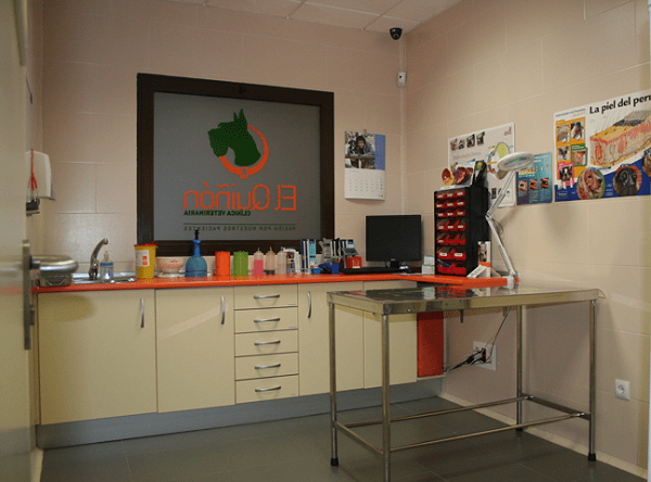 Clínica Veterinaria El Quiñón (Seseña)