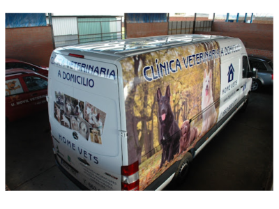 Bigvete - veterinario a domicilio (Talavera de la Reina)