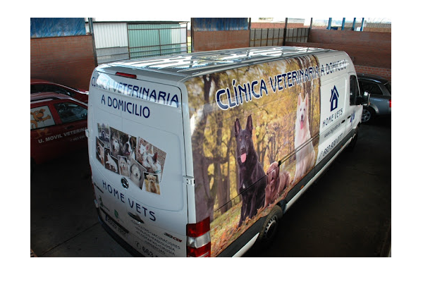 Bigvete - veterinario a domicilio (Talavera de la Reina)