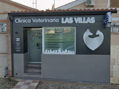 Clínica Veterinaria Las Villas (Cobisa)