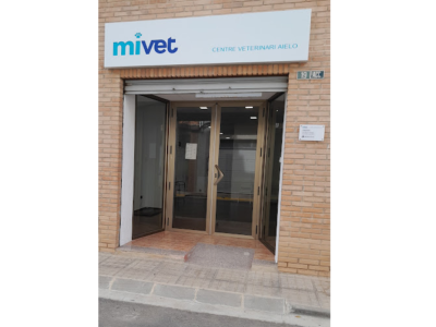 Centre Veterinari d'Aielo de Malferit - MiVet (Aielo de Malferit)