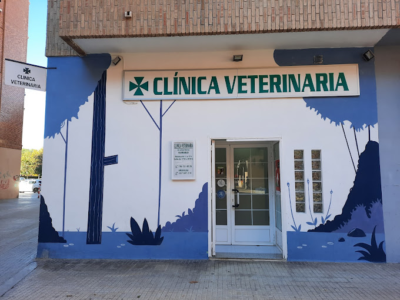 Clínica veterinaria Insarovet (Alaquàs)