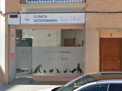 Clinica Veterinaria Albaida Laura Úbeda (Albaida)