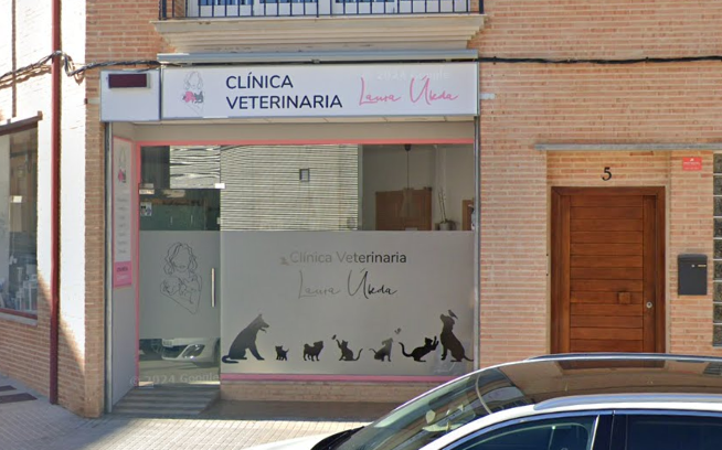 Clinica Veterinaria Albaida Laura Úbeda (Albaida)