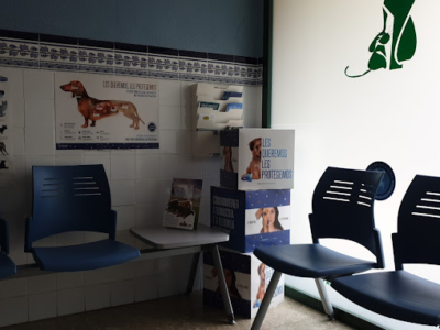 Clínica Veterinaria Alboraya (Alboraia/Alboraya)