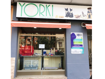 CV Yorki Manises (Manises)