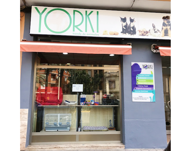 CV Yorki Manises (Manises)