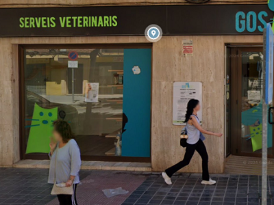 Gosgat Serveis Veterinaris (Manises)