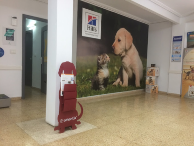 Centro Clínico Veterinario (Massamagrell)