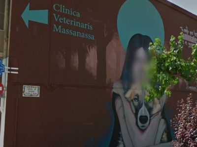 Veterinaris Massanassa (Massanassa)