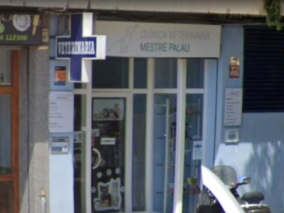 Clínica Veterinaria Mestre Palau (Paiporta)
