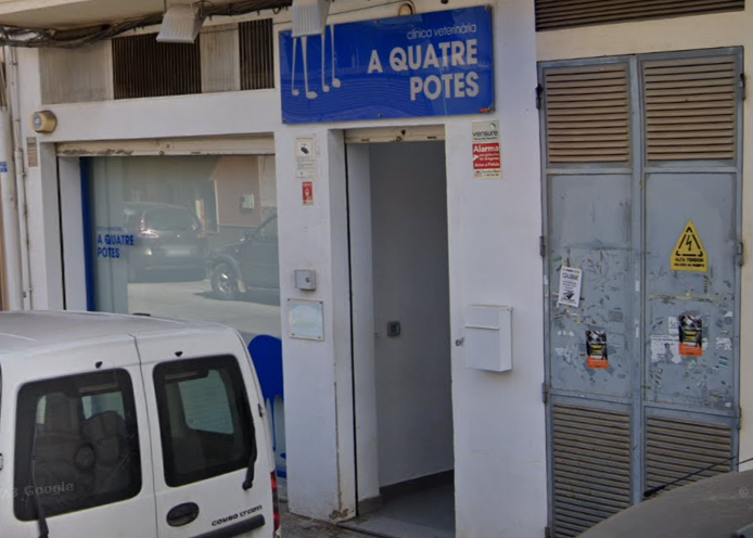 Clínica Veterinaria A Quatre Potes (Picassent)