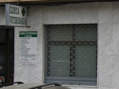 Clínica Veterinaria L´Horta (Picassent)