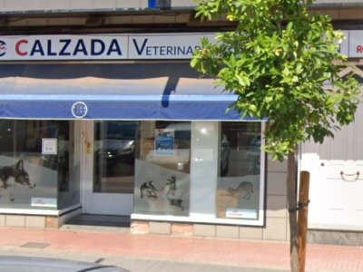 Clínica Calzada Veterinaria y Rehabilitación (Puçol)