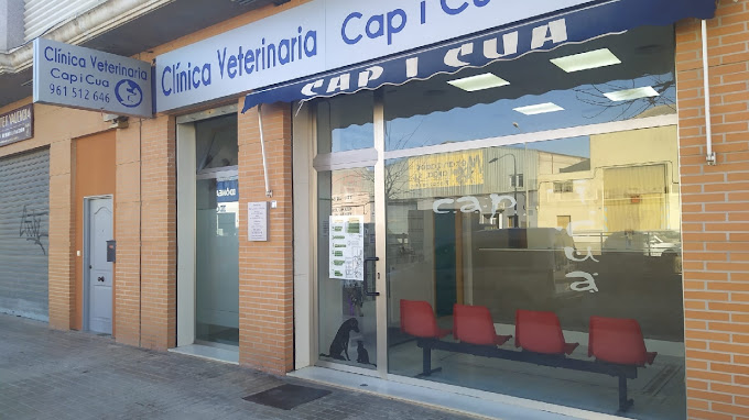 Clínica Veterinaria Cap i Cua (Aldaia)
