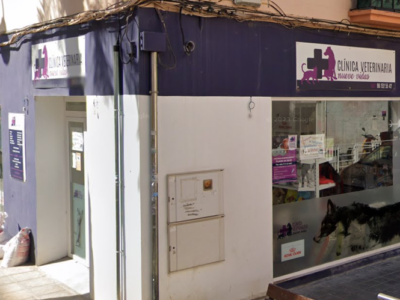 Nueve Vidas (Quart de Poblet)