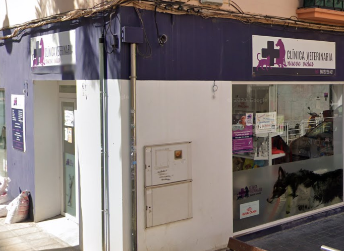 Nueve Vidas (Quart de Poblet)