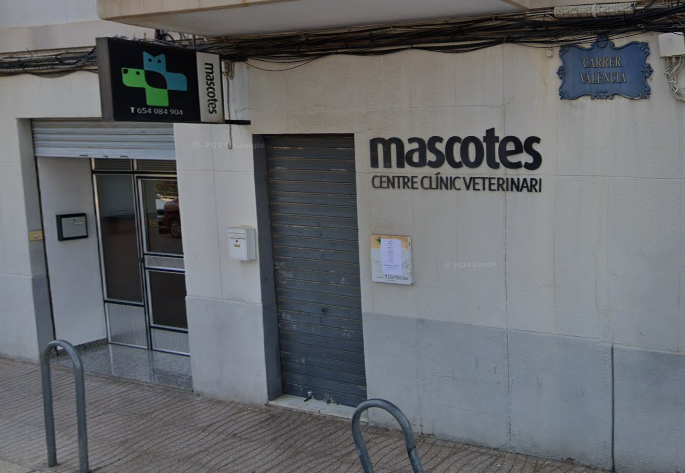 Mascotes - Centre Clínic Veterinari (Rafelbunyol)