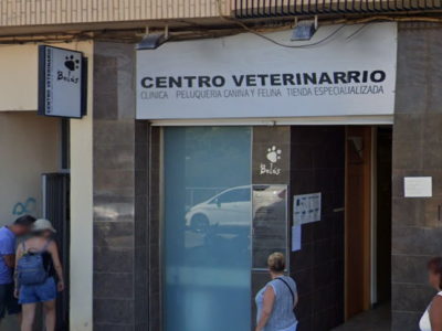 Centro Veterinario Bolos (Sagunt/Sagunto)