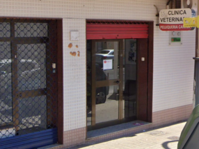 Clínica Veterinaria Morvedre (Sagunt/Sagunto)