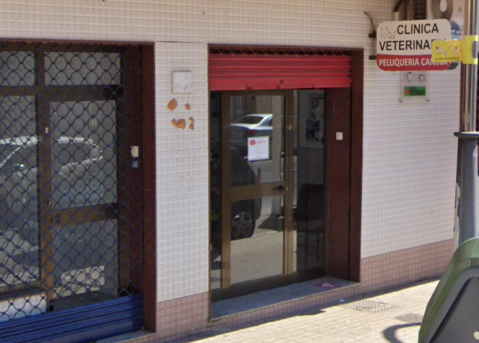 Clínica Veterinaria Morvedre (Sagunt/Sagunto)